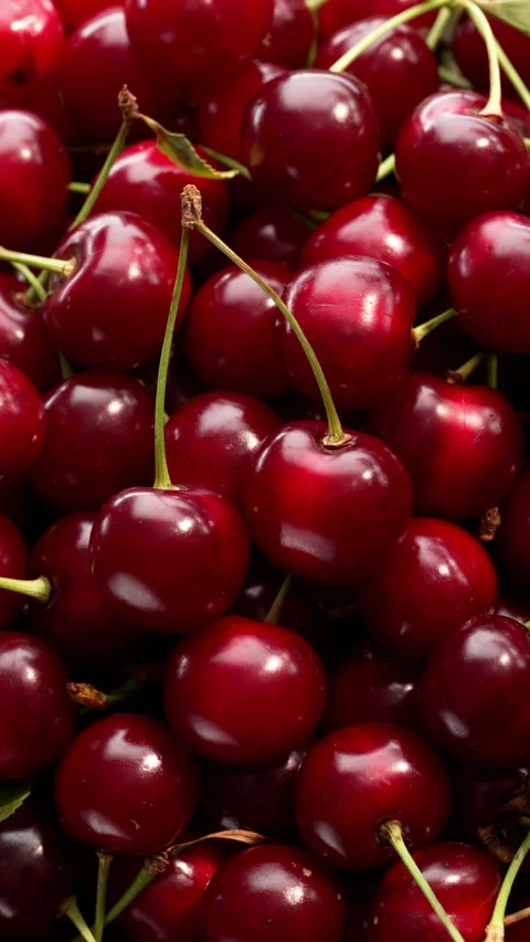 Sunlight creates a dynamic play of light and shadow on the pile of cherries. Stock Footage 314179457