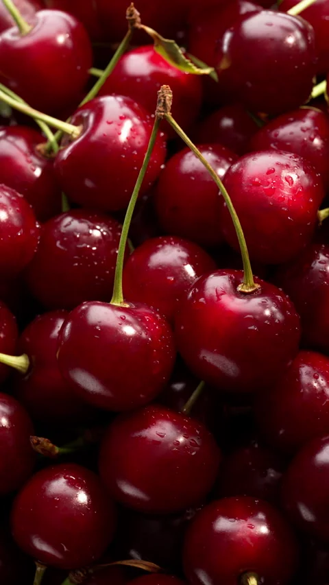 Sunlight creates a dynamic play of light and shadow on the pile of cherries. Vídeo Stock 314179540