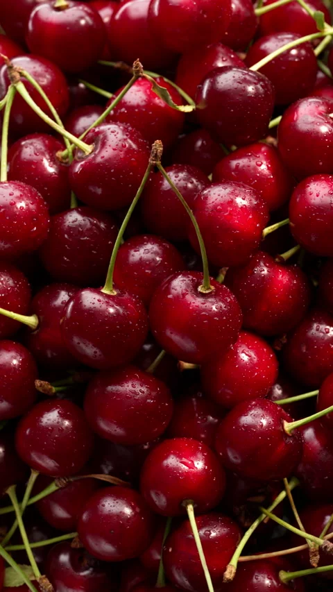 Sunlight creates a dynamic play of light and shadow on the pile of cherries. 動画素材 314179567