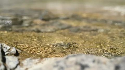 Sunlight creates effects in a mountain stream (slow motion, bokeh) Stock Footage 219634091