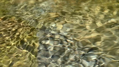 Sunlight creates effects on water of a mountain stream (slow motion) Stock-Footage 219633974