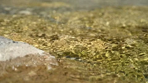 Sunlight creates golden effects in a mountain stream (slow motion, bokeh) Stock-Footage 219634092