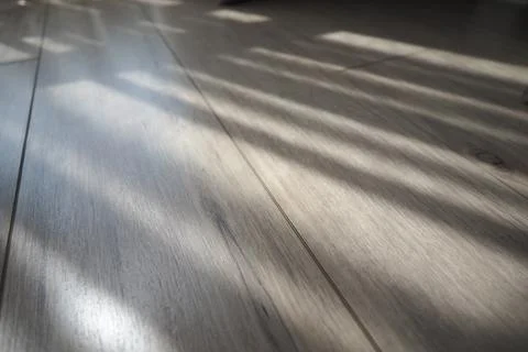 Sunlight creates patterns on wooden floor surface in room Stock Photos