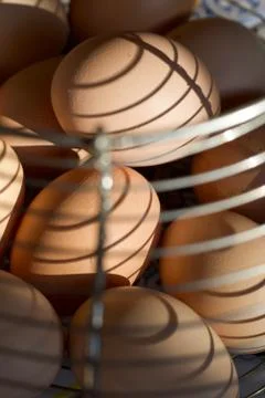 Sunlight creates shadows on a group of eggs Stock Photos