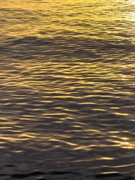 Sunlight creates shimmering golden patterns on calm water surface Stock Photos