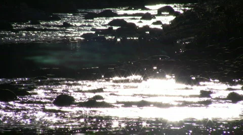 Sunlight creates sparkles on the stream's flowing surface (High Definition) Stock Footage 69243