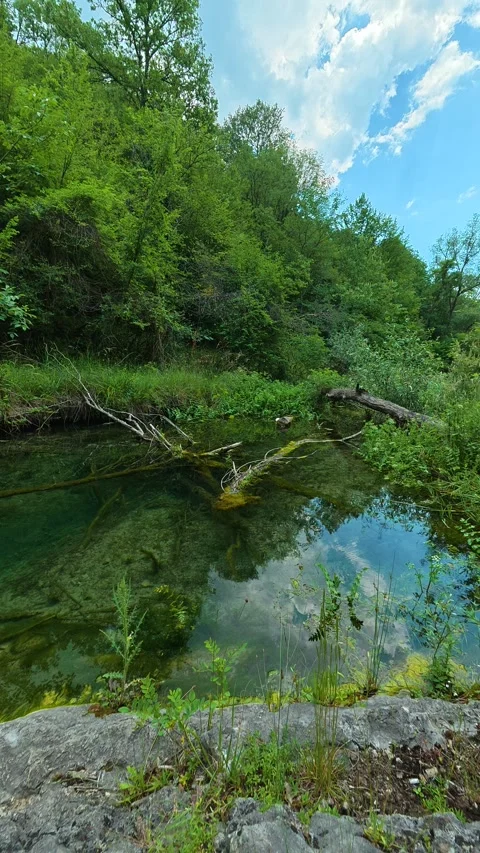 Sunlight dances on calm surface. Gradasnica River Canyon, Vertical Vídeo Stock 341964895