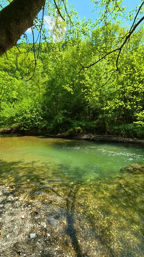 Sunlight dances on clear, flowing stream. Gradac River, Serbia. Vertical Видео 334680089