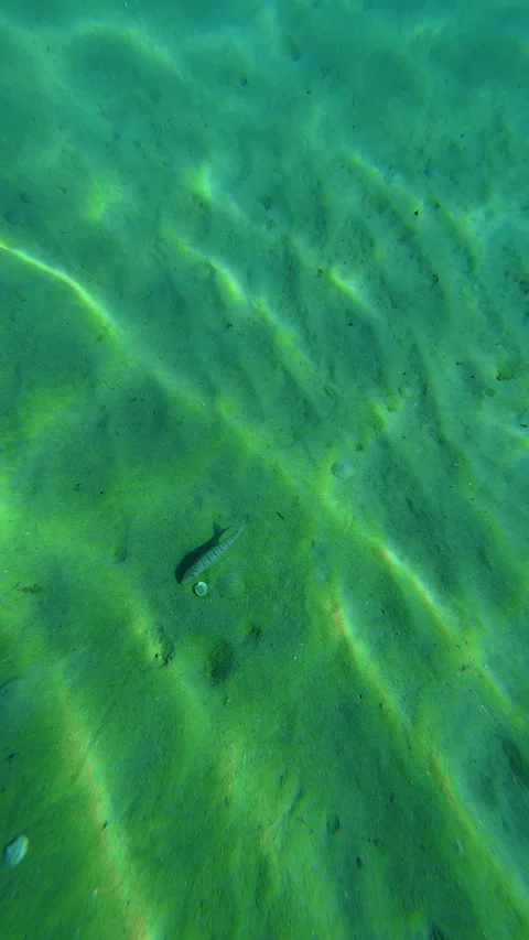 Sunlight dances over emerald water. Trani Ammouda, Greece. Vertical Stock Footage 339628723