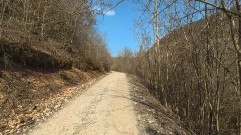 Sunlight dances on a quiet dirt trail. Mount Rtanj Area, Serbia Vidéo 331279043