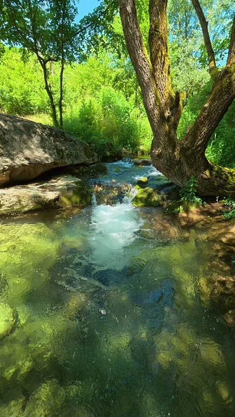 Sunlight dances on ripples, creating a serene. Gradasnica River Canyon, Vertical 库存影片 342327708
