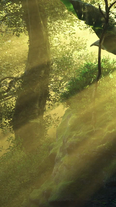 Sunlight dances through forest trees, revealing lush greenery and hidden beauty Stock Footage 341417268