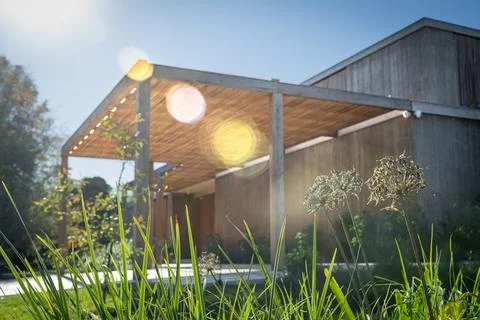Sunlight dances through tall grass in front of a modern wooden house Stock Photos