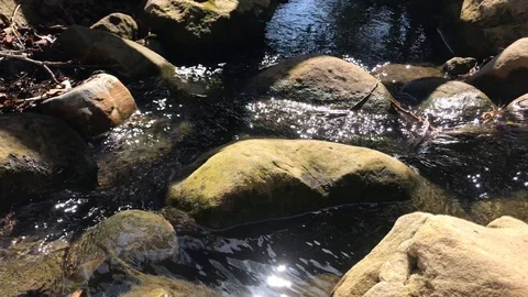 Sunlight Dancing In Gentle Stream 4K Stock Footage 103551385