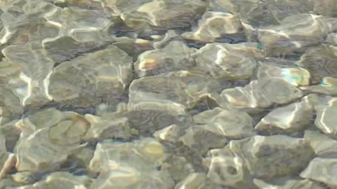 Sunlight dancing on river bed rocks underwater with crystal clear water rip.. Stock Footage 333154689