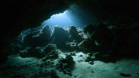 Sunlight dancing in underwater cave Stock Footage 217382493