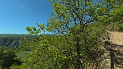 Sunlight dapples rocky path through green trees. Balkan, Eastern Europe, POV Vídeo Stock 333350263