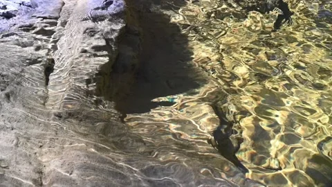 Sunlight effects and waves in a pool in the mountains (slow motion) Stock-Footage 219646862