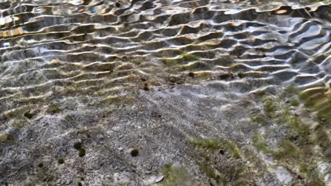 Sunlight effects on the ground of a mountain river (slow motion) Video stock 212766882
