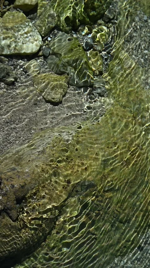 Sunlight effects on the ground of a mountain stream in summer, vertical shot Video stock 260877846