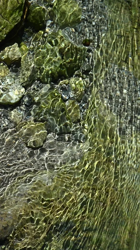 Sunlight effects on the ground of a mountain stream in summer, vertical shot Video stock 260877971