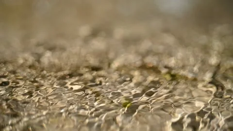 Sunlight effects on a mountain stream and bokeh (slow motion) Video stock 219636454