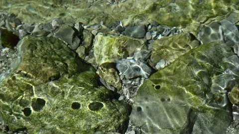Sunlight effects on the riverbed of a mountain stream (slow motion) Stock-Footage 260842987