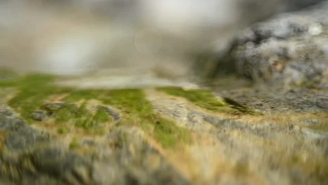 Sunlight effects from water flowing over mossy rocks (bokeh, slow motion) Stock Footage 212731218