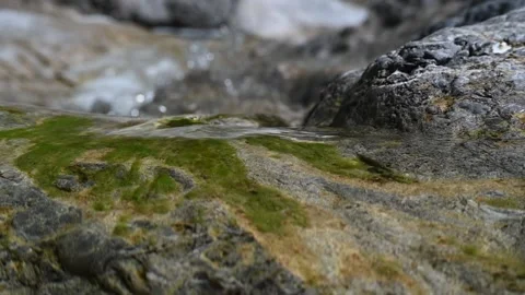 Sunlight effects from water flowing over mossy rocks (bokeh, slow motion) Video stock 212731718