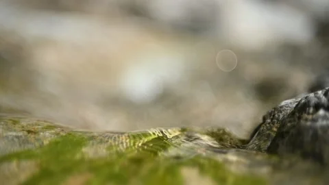 Sunlight effects from water flowing over mossy rocks (slow motion, bokeh) Stock-Footage 212732124