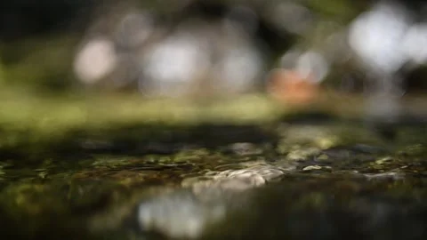 Sunlight effects of water flowing in a small stream in a forest Video stock 260866740