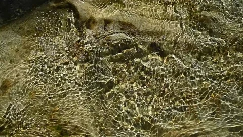 Sunlight effects of the water in a mountain riverbed Stock-Footage 211744492