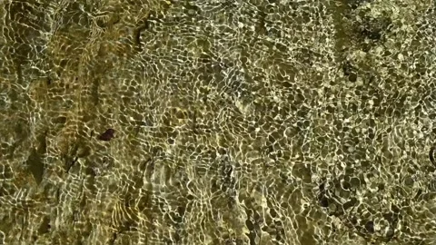 Sunlight effects of the water in a mountain riverbed (slow motion) Stock-Footage 211745377