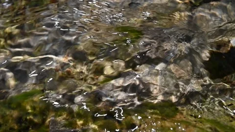 Sunlight effects on water swirling over mossy rocks (slow motion) Video stock 219639971
