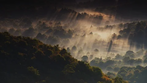 Sunlight falling over Graveyard Fields viewed from Black Balsam Knob Stock Footage 103401202