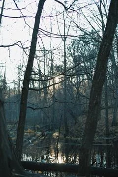 Sunlight falling on river surface in forest landscape photo Stock Photos