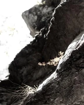 Sunlight falling on stone surface in the dark on a beautiful morning. Stock Photos