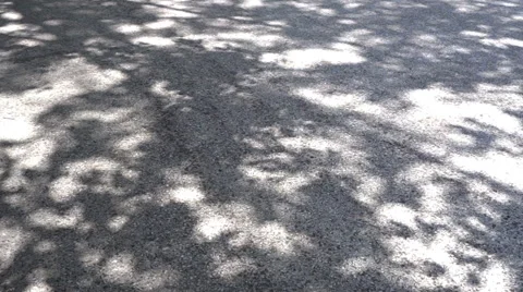 Sunlight falling on the street (generic · pan · nature) Stock Footage 66687152