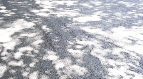 Sunlight falling on the street (generic · pan · nature) Stock Footage 66688382