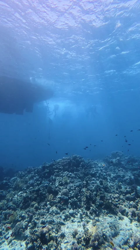 Sunlight filtering through the blue water above a coral reef Stockbeeldmateriaal 341500906