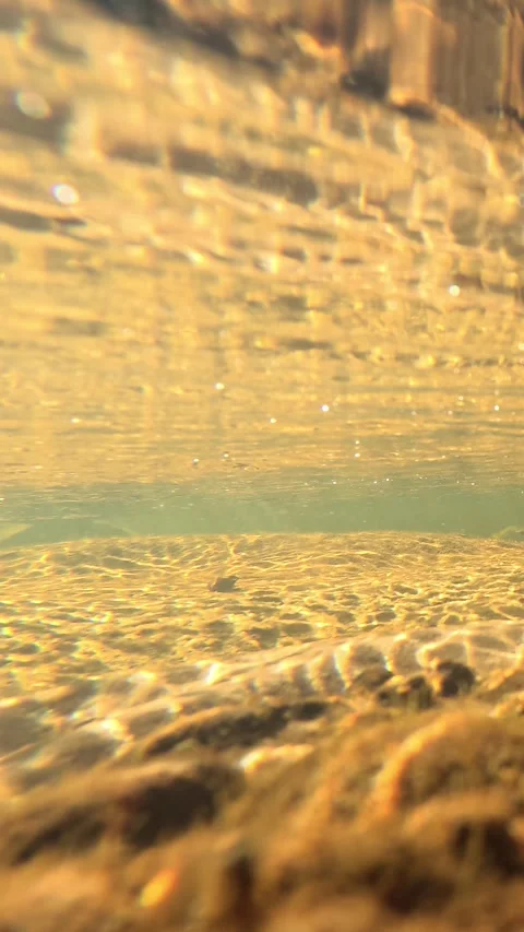 Sunlight Filtering Through Clear River Water Over Sandy Riverbed Stock Footage 341928821