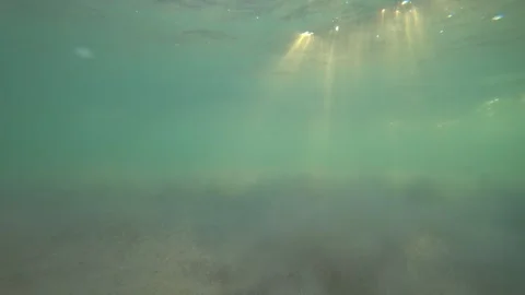 Sunlight filtering through clear water onto sandy seabed Stock-Footage 308864486