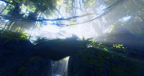 Sunlight filtering through dense jungle canopy over mossy rocks Ilustração Stock