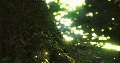 Sunlight filtering through forest canopy highlights mossy tree trunk Stock Illustration