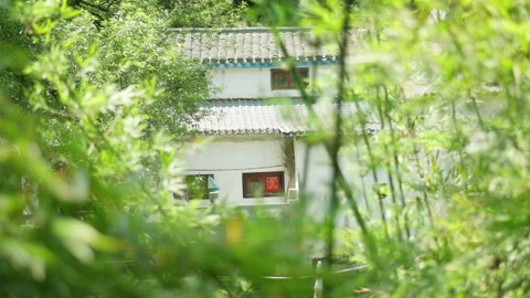 Sunlight Filtering Through Green Bamboo Forest Leaves 스톡 동영상 334225417