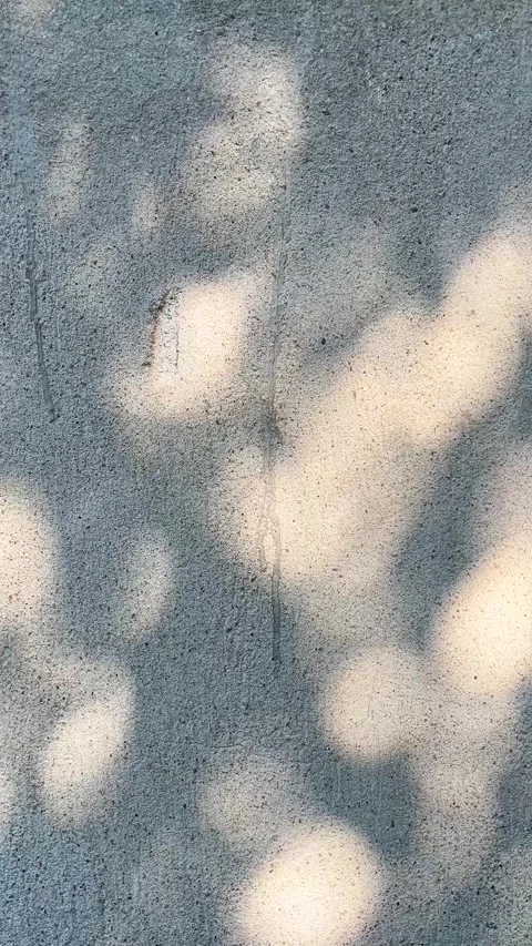 Sunlight filtering through leaves creates a soft, dappled light pattern Stock Footage 337355394