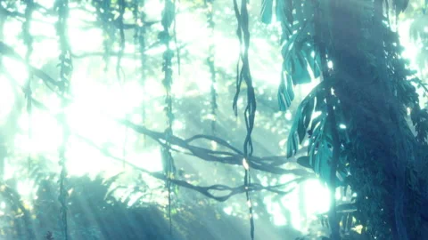 Sunlight filtering through leaves in a dense forest during the day Stock Footage 345054920