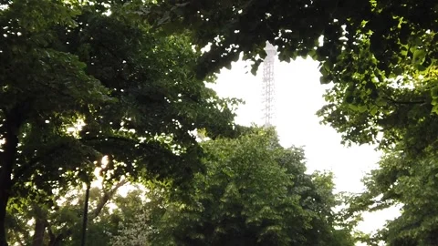 Sunlight Filtering Through Lush Green Tree Canopy in Paris Park Stock Footage 327335494