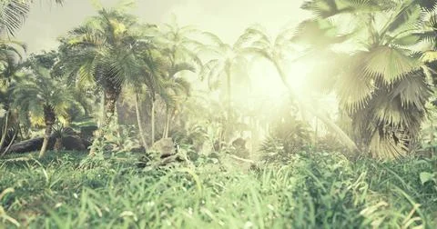 Sunlight filtering through lush palm trees in a tropical landscape 스톡 일러스트