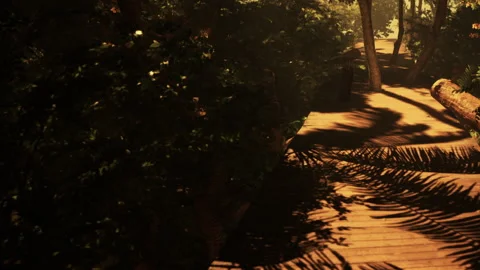 Sunlight Filtering Through Lush Trees on an Enchanted Forest Pathway Stock Footage 344821207